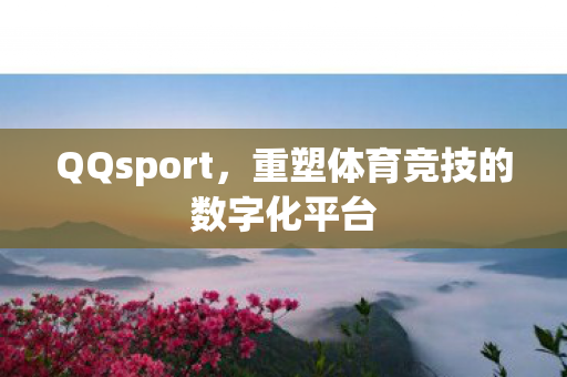 QQsport，重塑体育竞技的数字化平台