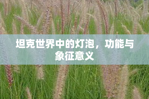 坦克世界中的灯泡,功能与象征意义 坦克世界中的灯泡,功能与象征意义