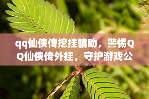 qq仙侠传挖挂辅助，警惕QQ仙侠传外挂，守护游戏公平，从我做起