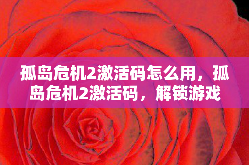 孤岛危机2激活码怎么用，孤岛危机2激活码，解锁游戏世界的钥匙