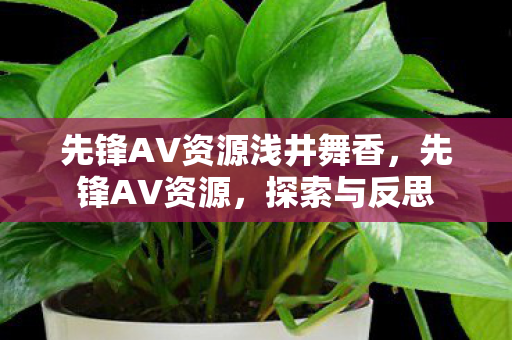 先锋AV资源浅井舞香，先锋AV资源，探索与反思