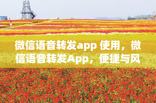 微信语音转发app 使用，微信语音转发App，便捷与风险并存的新工具