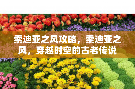 索迪亚之风攻略，索迪亚之风，穿越时空的古老传说