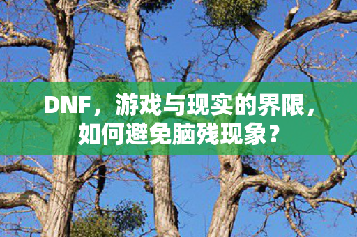 DNF，游戏与现实的界限，如何避免脑残现象？
