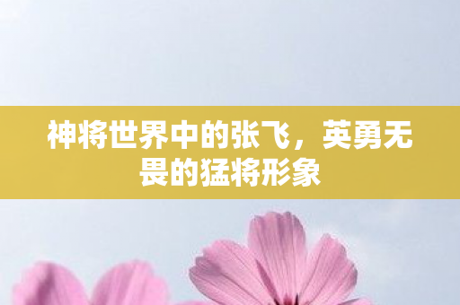 神将世界中的张飞，英勇无畏的猛将形象