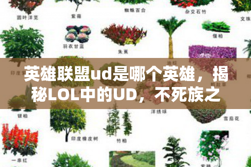 英雄联盟ud是哪个英雄，揭秘LOL中的UD，不死族之王