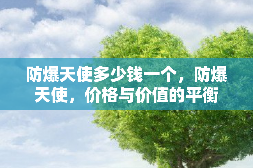 防爆天使多少钱一个，防爆天使，价格与价值的平衡