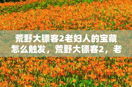 荒野大镖客2老妇人的宝藏怎么触发，荒野大镖客2，老妇人的传奇故事