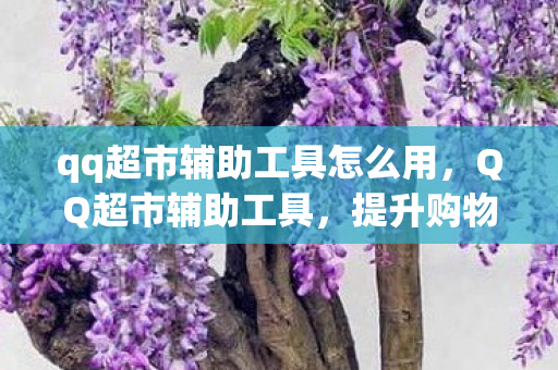qq超市辅助工具怎么用，QQ超市辅助工具，提升购物效率与体验的智能助手