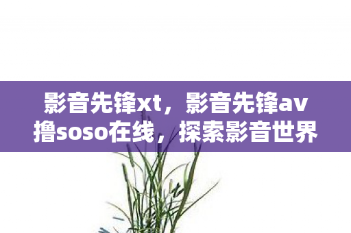 影音先锋xt，影音先锋av撸soso在线，探索影音世界的无限可能