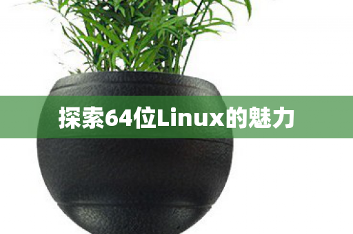 探索64位Linux的魅力 探索64位Linux的魅力