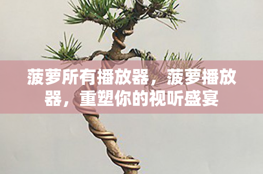 菠萝所有播放器，菠萝播放器，重塑你的视听盛宴