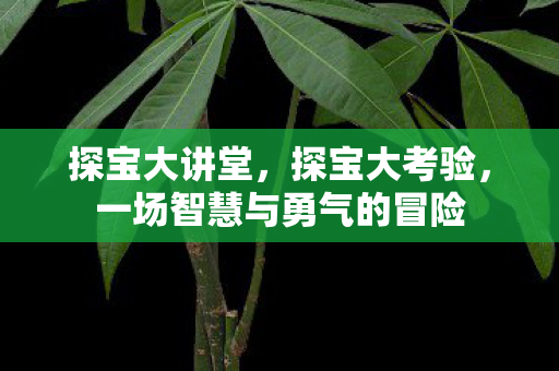 探宝大讲堂，探宝大考验，一场智慧与勇气的冒险