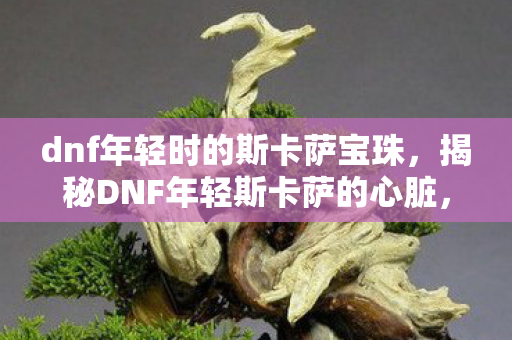 dnf年轻时的斯卡萨宝珠，揭秘DNF年轻斯卡萨的心脏，隐藏在游戏深处的神秘宝藏