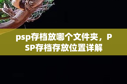 psp存档放哪个文件夹，PSP存档存放位置详解