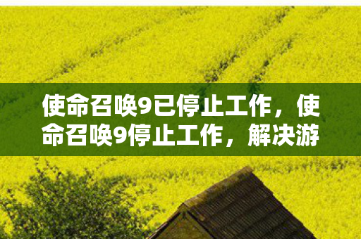 使命召唤9已停止工作，使命召唤9停止工作，解决游戏崩溃的实用指南