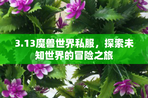 3.13魔兽世界私服，探索未知世界的冒险之旅