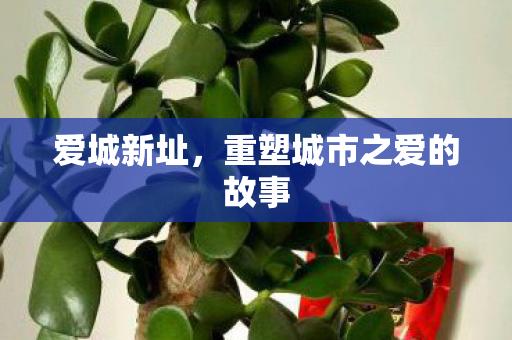 爱城新址，重塑城市之爱的故事
