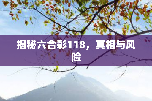 揭秘六合彩118，真相与风险