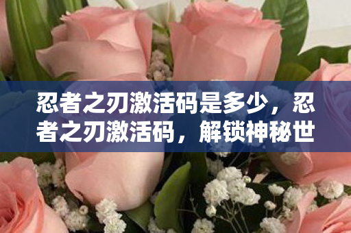 忍者之刃激活码是多少,忍者之刃激活码,解锁神秘世界的钥匙 忍者之刃激活码是多少,忍者之刃激活码,解锁神秘世界的钥匙