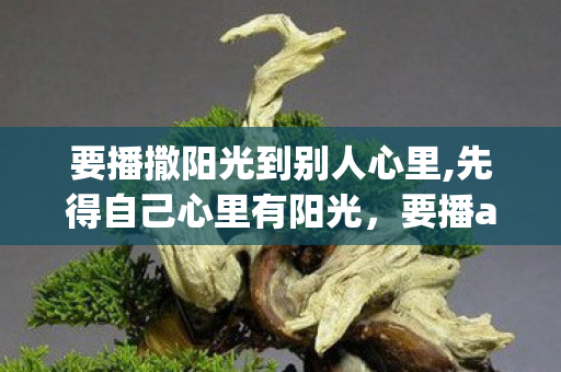 要播撒阳光到别人心里,先得自己心里有阳光，要播app，开启移动直播的新篇章