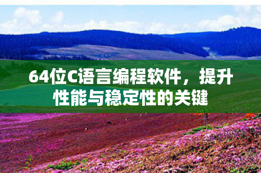 64位C语言编程软件，提升性能与稳定性的关键