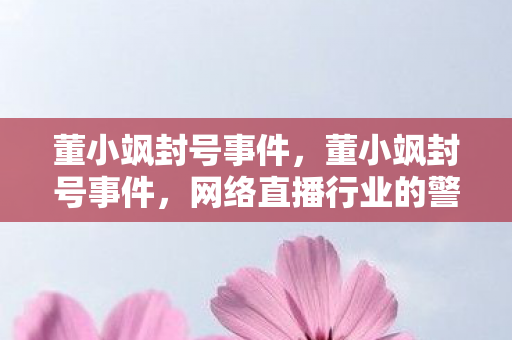 董小飒封号事件,董小飒封号事件,网络直播行业的警钟 董小飒封号事件,董小飒封号事件,网络直播行业的警钟