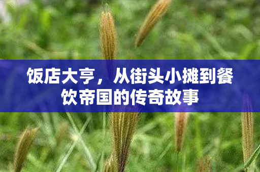 饭店大亨，从街头小摊到餐饮帝国的传奇故事