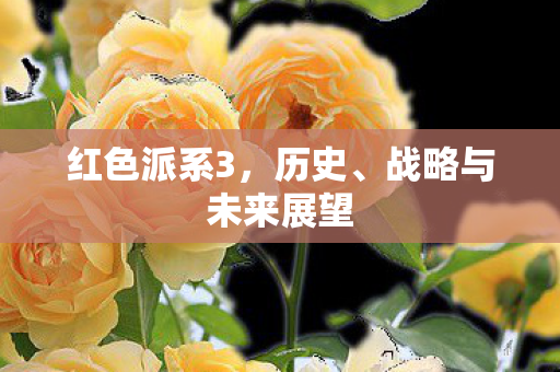 红色派系3，历史、战略与未来展望