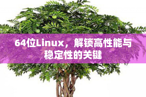 64位Linux，解锁高性能与稳定性的关键