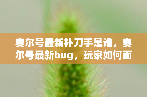 赛尔号最新补刀手是谁，赛尔号最新bug，玩家如何面对与应对