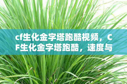 cf生化金字塔跑酷视频，CF生化金字塔跑酷，速度与激情的极限挑战
