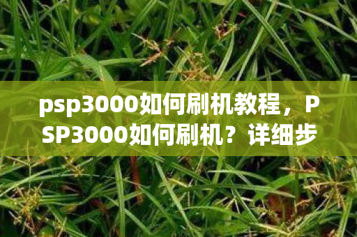 psp3000如何刷机教程，PSP3000如何刷机？详细步骤与注意事项