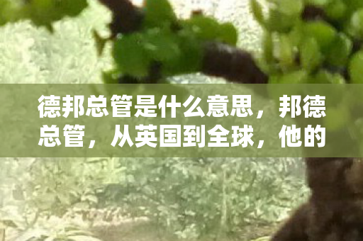 德邦总管是什么意思，邦德总管，从英国到全球，他的传奇人生