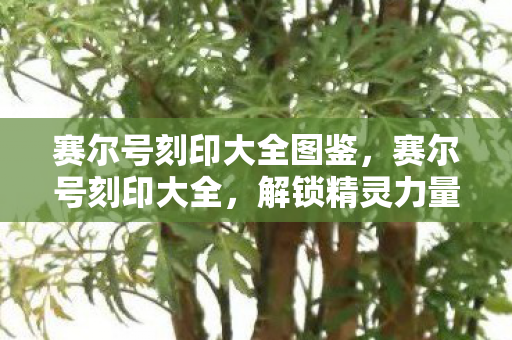 赛尔号刻印大全图鉴，赛尔号刻印大全，解锁精灵力量的关键