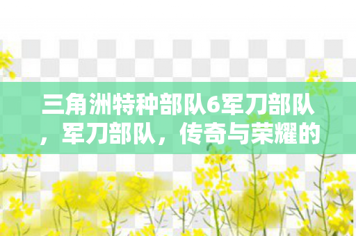 三角洲特种部队6军刀部队，军刀部队，传奇与荣耀的见证