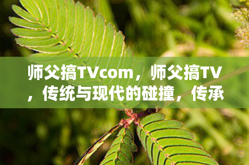 师父搞TVcom，师父搞TV，传统与现代的碰撞，传承与创新的融合
