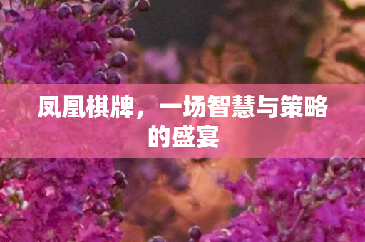 凤凰棋牌，一场智慧与策略的盛宴