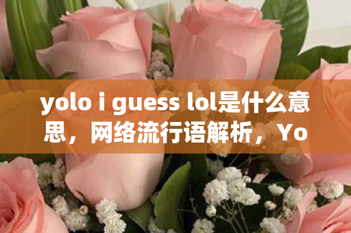 yolo i guess lol是什么意思，网络流行语解析，Yolo、I Guess、Lol的含义与起源