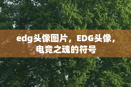 edg头像图片，EDG头像，电竞之魂的符号