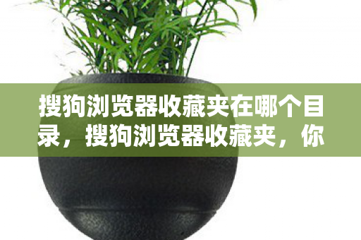 搜狗浏览器收藏夹在哪个目录，搜狗浏览器收藏夹，你的私人书签宝库