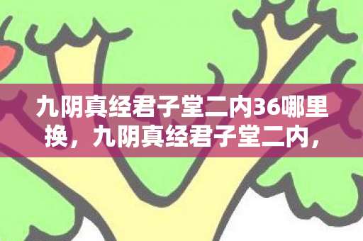 九阴真经君子堂二内36哪里换，九阴真经君子堂二内，揭秘武学奥秘，探寻君子之道
