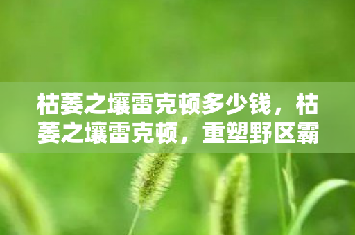 枯萎之壤雷克顿多少钱，枯萎之壤雷克顿，重塑野区霸主的传奇