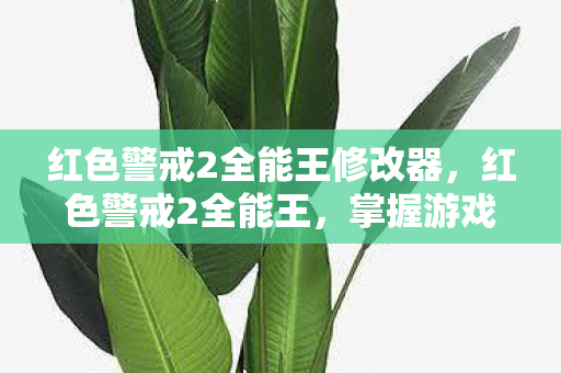 红色警戒2全能王修改器，红色警戒2全能王，掌握游戏策略与技巧