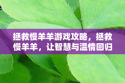 拯救慢羊羊游戏攻略，拯救慢羊羊，让智慧与温情回归的奇妙旅程