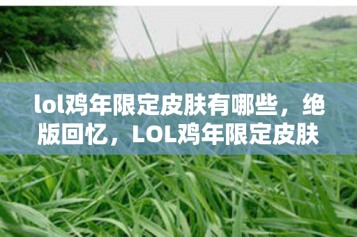 lol鸡年限定皮肤有哪些，绝版回忆，LOL鸡年限定皮肤的传奇故事