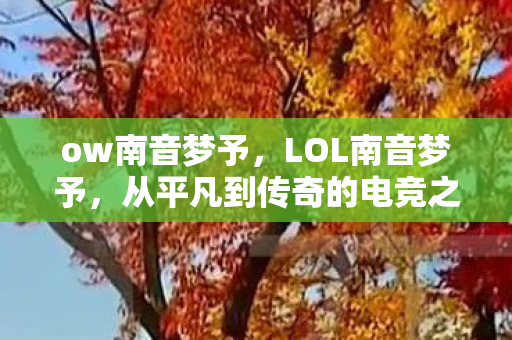 ow南音梦予，LOL南音梦予，从平凡到传奇的电竞之路