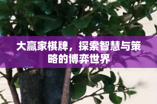 大赢家棋牌，探索智慧与策略的博弈世界