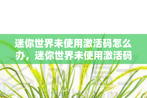 迷你世界未使用激活码怎么办，迷你世界未使用激活码，解锁无限创意的钥匙