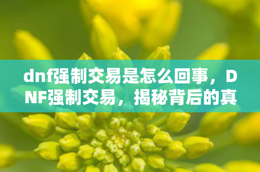 dnf强制交易是怎么回事，DNF强制交易，揭秘背后的真相与影响